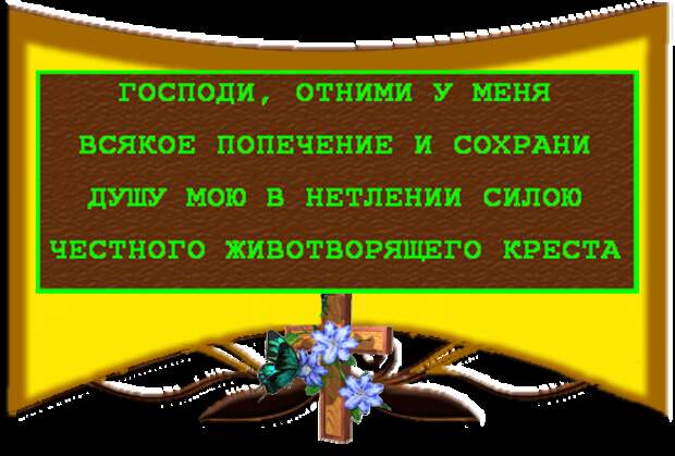 Изображение с кодом 5188808