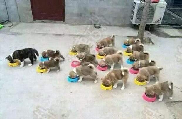 Прикольные картинки