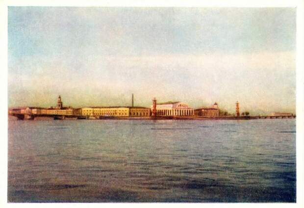 Васильевский остров находится в центре Санкт-Петербурга и омывается водами Большой и Малой Невы.