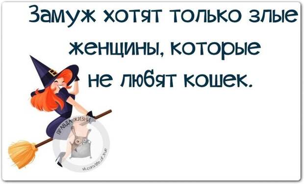Замуж хотят только злые женщины