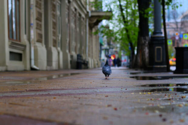 На Кубань вернулись дожди и грозы: действует штормовое предупреждение