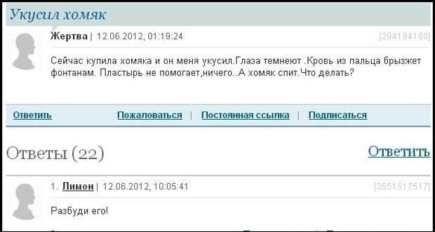 Смешные комментарии из социальных сетей