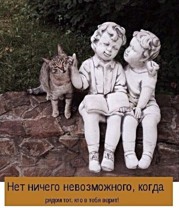 Картинки с котами и про котов