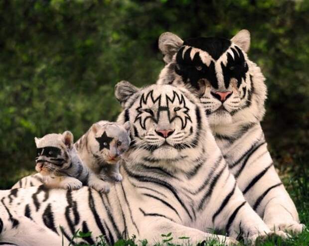 Картинка 13 из 69737