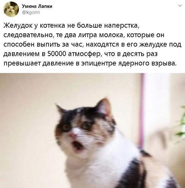 Не ищите здесь смысл. Здесь в основном маразм