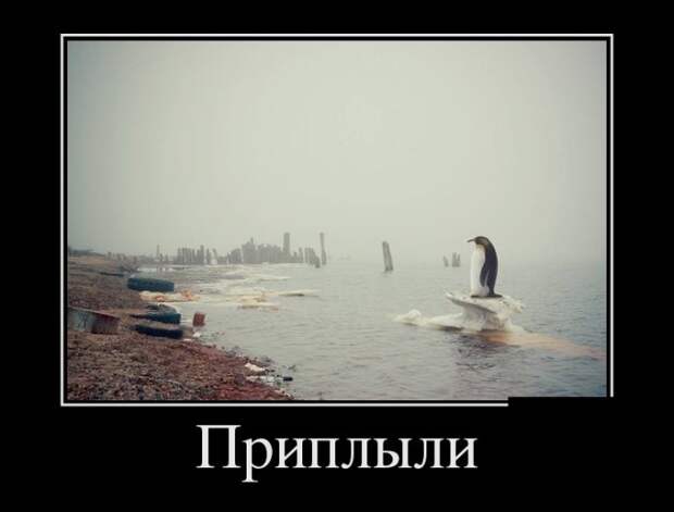 Демотиваторы (30 фото)