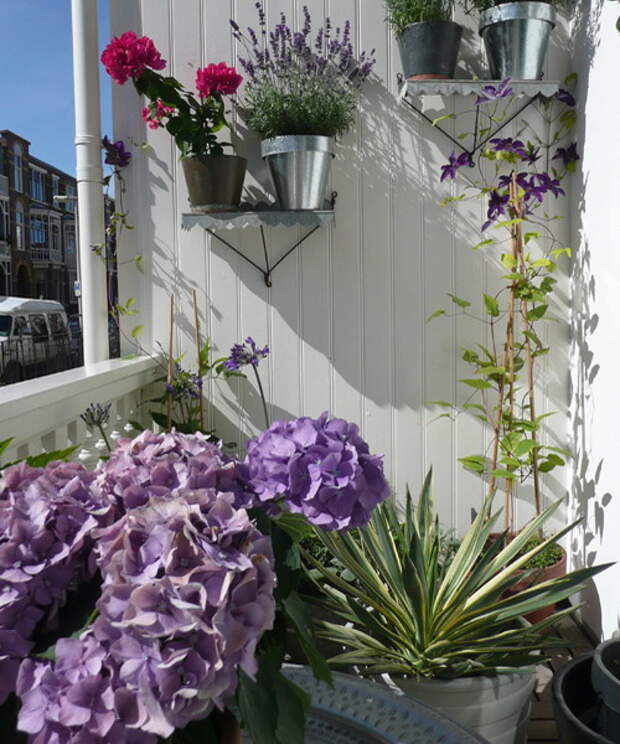 flowers-on-balcony4-4.jpg