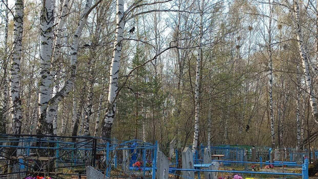 Снится покойник и зовет за собой: что это означает с точки зрения церкви