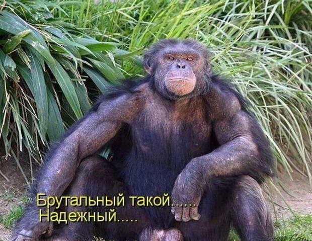 Давайте улыбаться вместе :) (27 улыбок)