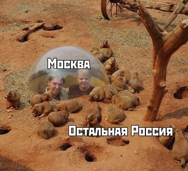 www.vsyako.net