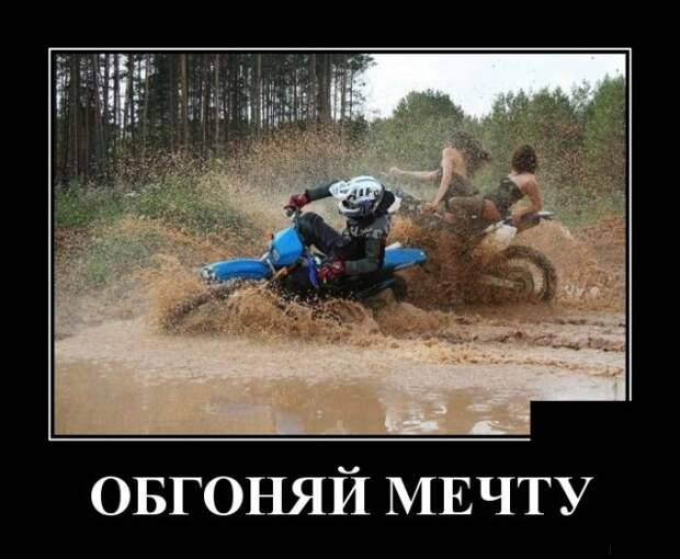 Демотиваторы