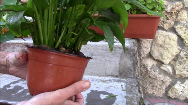 image006-10-1156x650 (700x393, 269Kb)