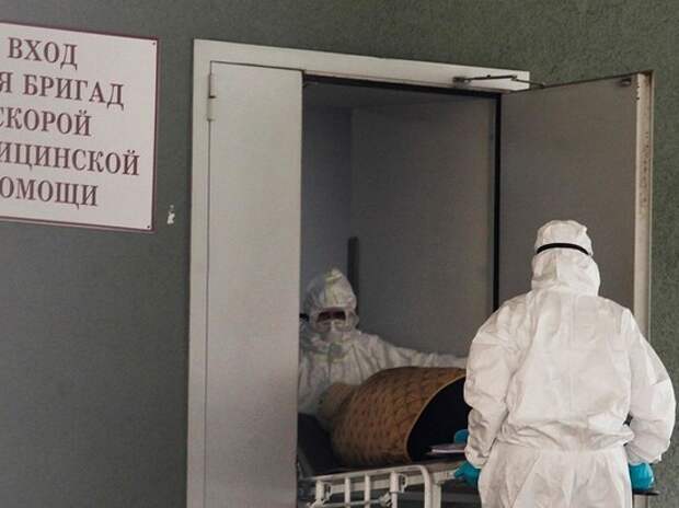 Выяснилось, почему медикам не выплачивают обещанные Путиным деньги Выяснилось, почему медикам не выплачивают обещанные Путиным деньги