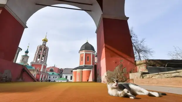 Синоптик заявил о приходе в Москву метеорологической весны