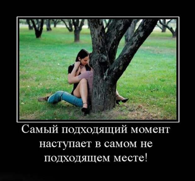 Демотиваторы Демотиваторы