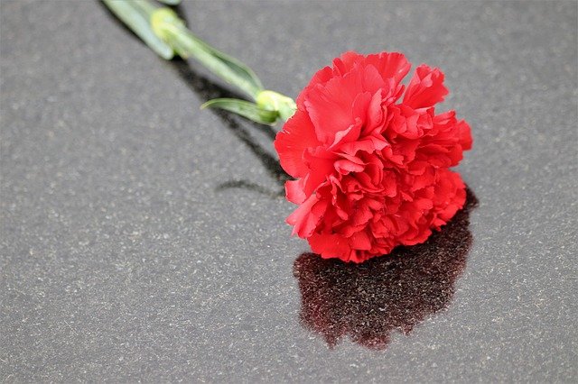 В Щукине откроют мемориальную доску в память о музыкантах, не вернувшихся с войны