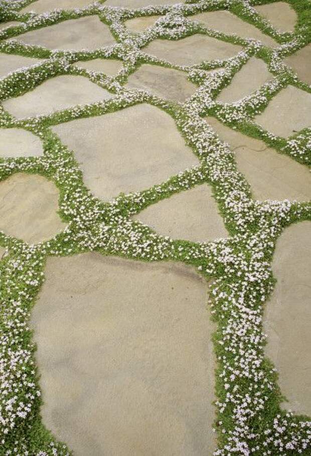 Garden Path
