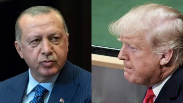 Трамп и Эрдоган договорились совместно взять под контроль ситуацию в Сирии