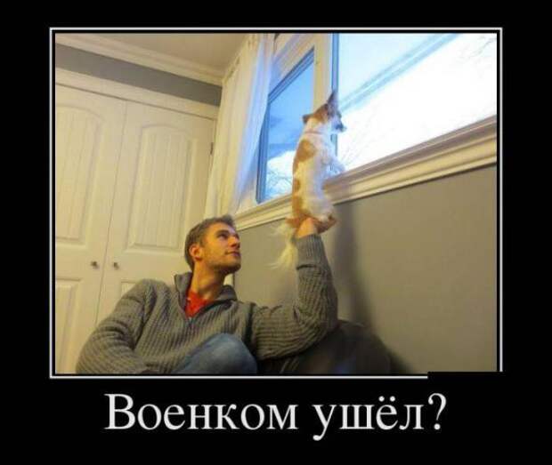 Подборка классных демотиваторов № 107