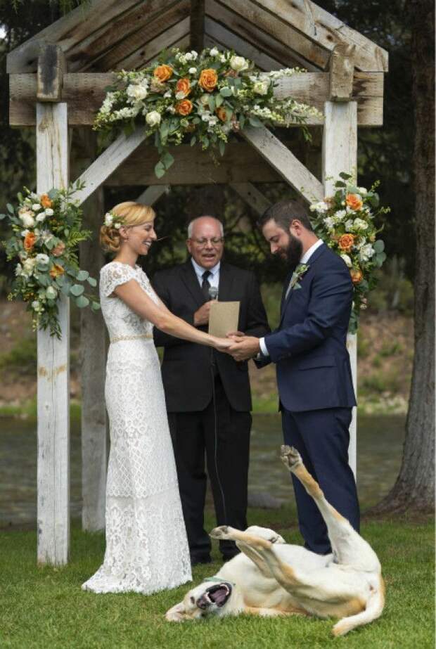 Безудержное веселье Фото Weddings Today