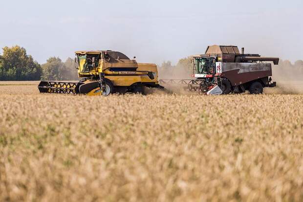 Новосибирские выпускники по агровузов получат до 500 тыс. рублей подъёмных