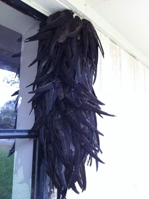 Фотография: Эти птички умеют обниматься! №20 - BigPicture.ru