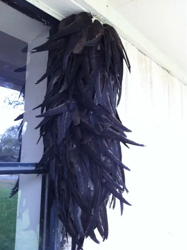 Фотография: Эти птички умеют обниматься! №20 - BigPicture.ru