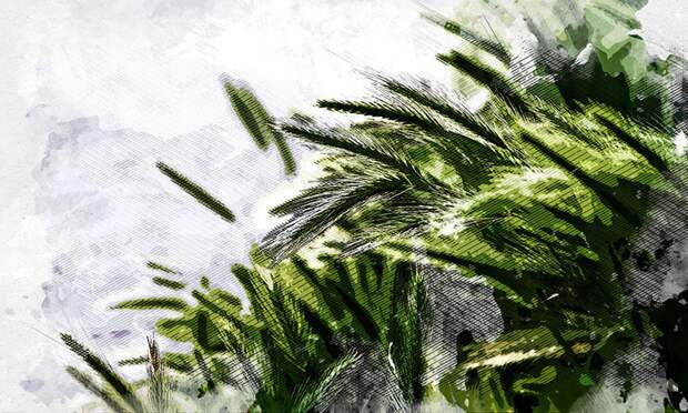 В орловском АПК рассказали о состоянии озимых после морозной зимы