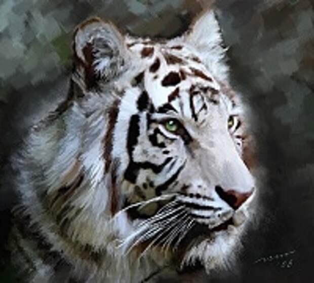 Белые тигры 37