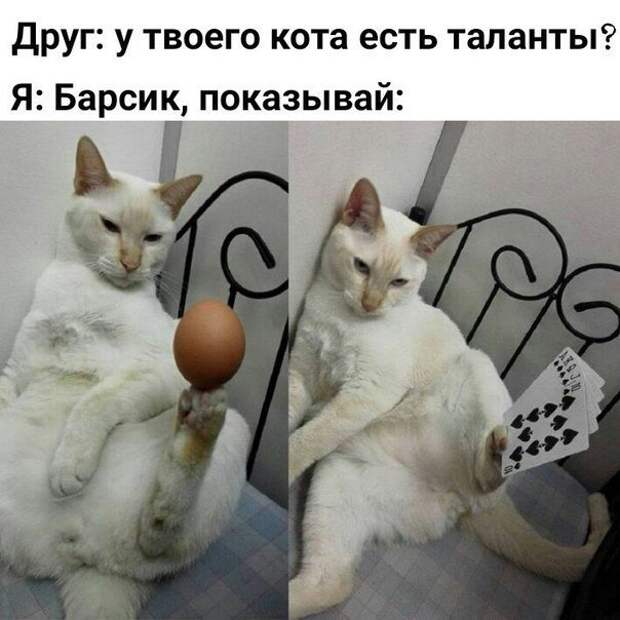 Картинки с надписями для настроения Картинки с надписями для настроения
