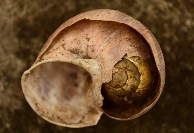 Фотография: 22 странные находки, которые вызвали у людей недоумение №18 - BigPicture.ru