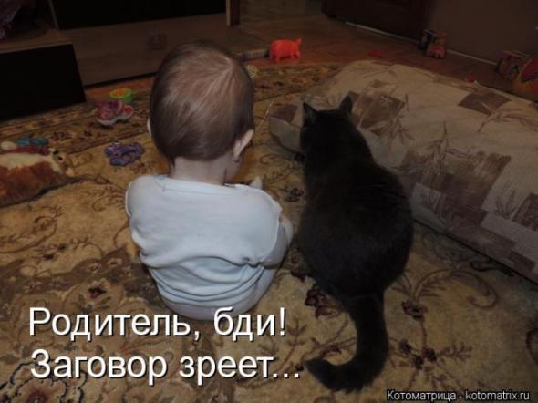 Котоматрицы(картинки с надписями)