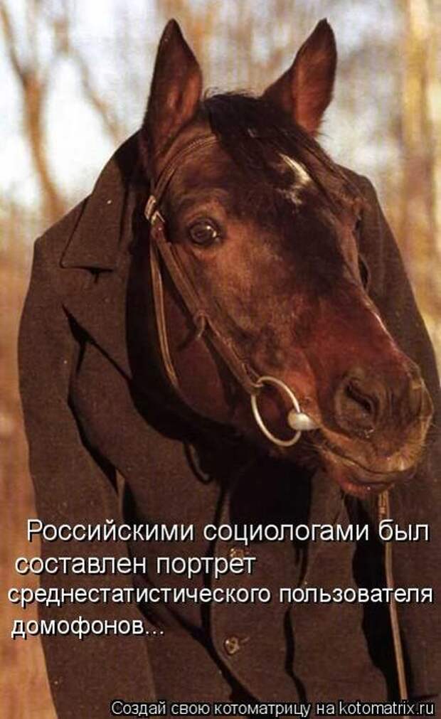 Котоматрицы(картинки с надписями)