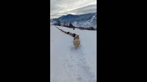 Спокойной ночи https://t.me/webmoney_dn/312778Video: Клип