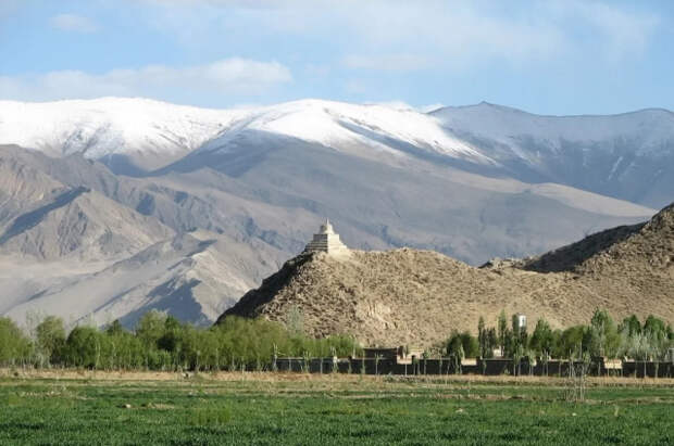 На Тибете заплутавшая туристка выжила, обмазавшись навозом, чтобы согреться