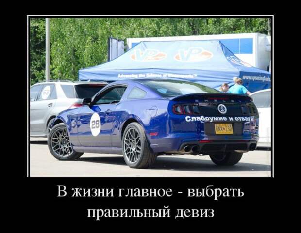 Демотиваторы (30 фото)