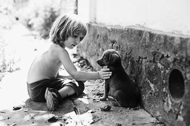 Мальчик и щенок. История из жизни
