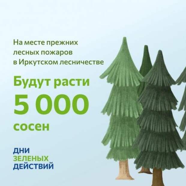 Целых 70 миллионов деревьев высадят участники акции сохранимлес и экомарафона днизеленыхдействий по всей стране! 03