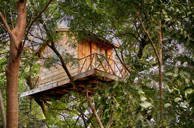 Спрятанный в кронах деревьев домик в Индии.
