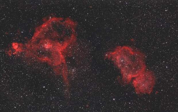 Тюльпан, Душа и не только. Роскосмос опубликовал фото «космических цветов» к 8 марта