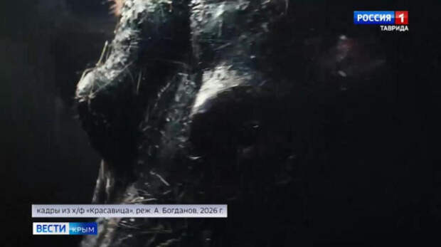 В крымских кинотеатрах показывают художественный фильм Антона Богданова «Красавица»