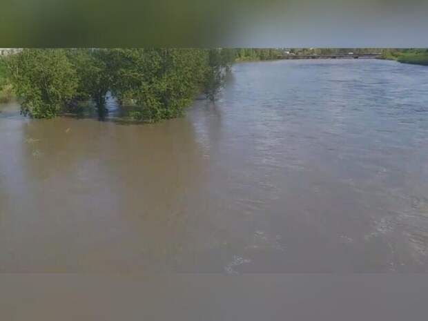 Мужчину унесло потоком воды в Агинском районе