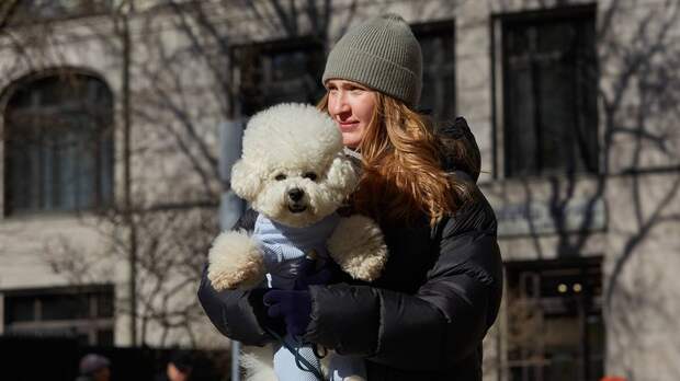 Чем полезны прогулки на свежем воздухе и почему опасно быть домоседом