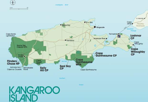 Остров Кенгуру: последний кусочек настоящей Австралии, куда еще не добрались кролики