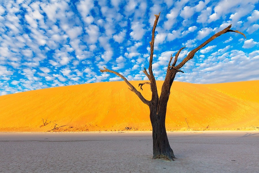 Namibia25 Namibia25 Фантастические пейзажи Намибии