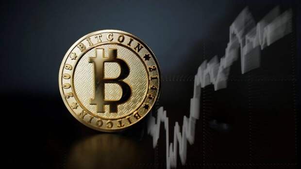 Курс Bitcoin дорожает под чутким руководством криптобыков Курс Bitcoin дорожает под чутким руководством криптобыков
