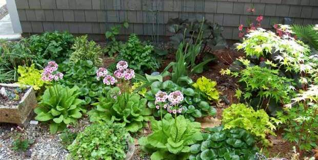 Современная классика Сад by Elizabeth Dudley Landscape Architecture