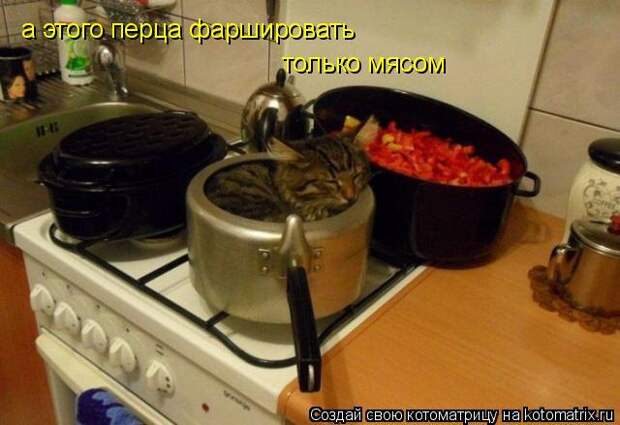 Котоматрица - а этого перца фаршировать только мясом