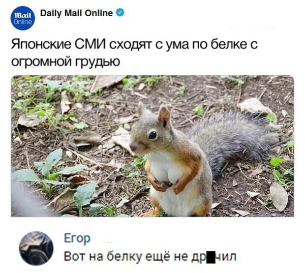 Картинки с надписями и прочие анекдоты, которые не оставят вас равнодушным Картинки с надписями и прочие анекдоты, которые не оставят вас равнодушным