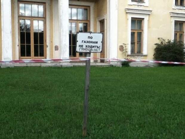Забавные надписи и объявления